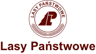 Lasy Państwowe